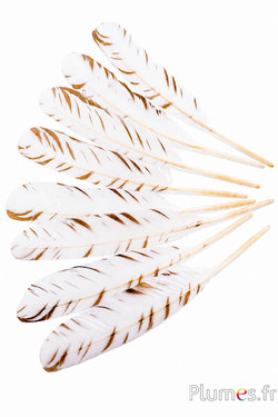 Zwaan model 2 - 30-33 cm - wit-goud